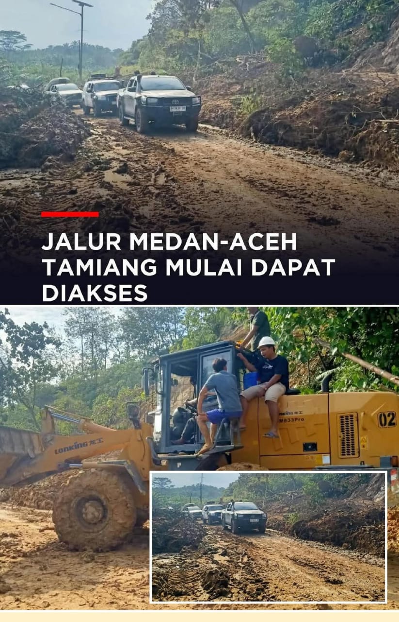 WhatsApp Image 2025-12-03 at 14.35.51