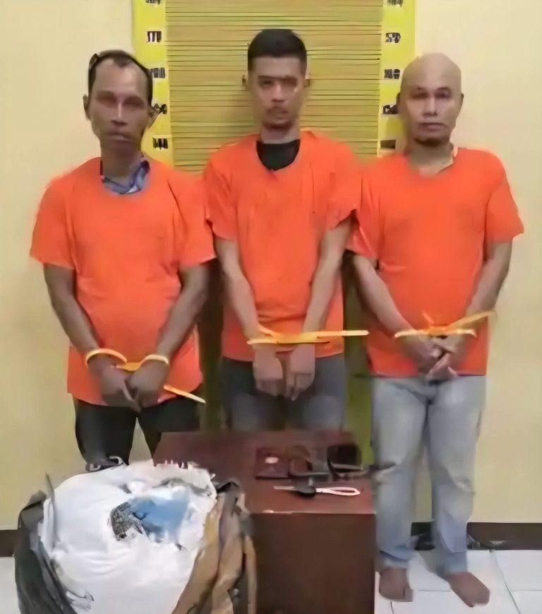 WhatsApp Image 2026-02-10 at 16.48.11