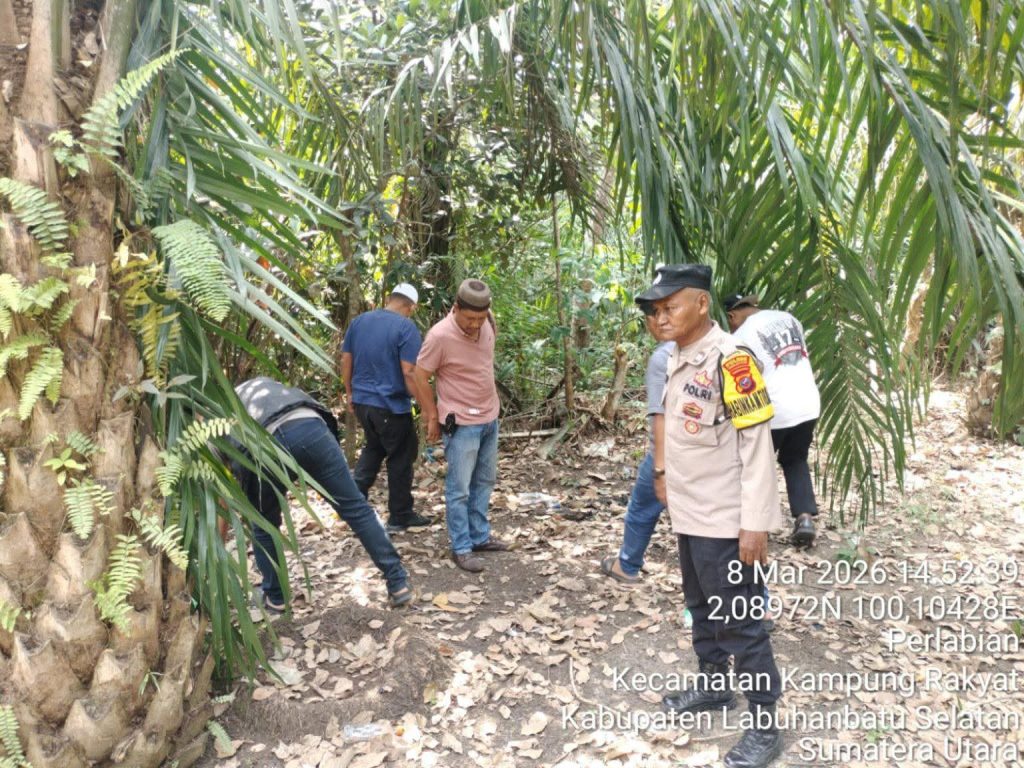 WhatsApp Image 2026-03-10 at 16.12.47