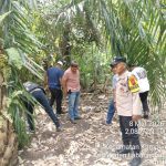 WhatsApp Image 2026-03-10 at 16.12.47