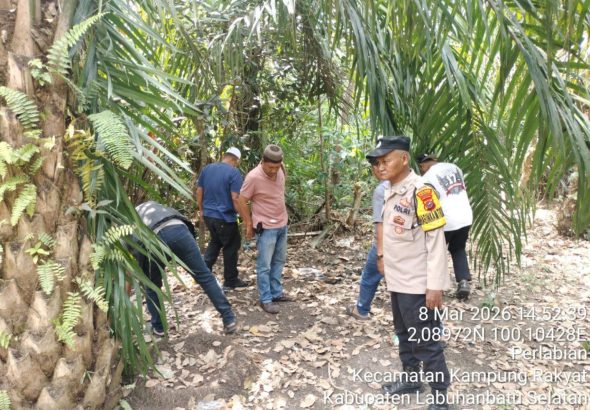 WhatsApp Image 2026-03-10 at 16.12.47