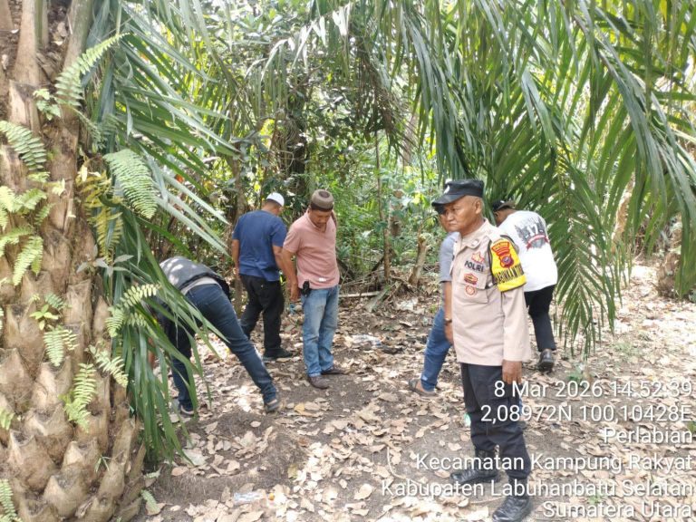 WhatsApp Image 2026-03-10 at 16.12.47