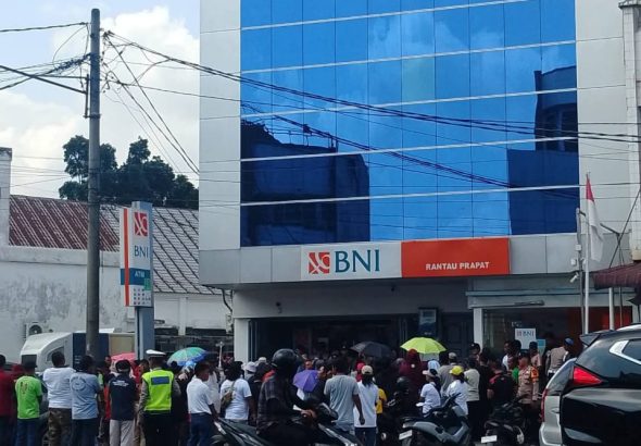 WhatsApp Image 2026-03-12 at 15.53.04