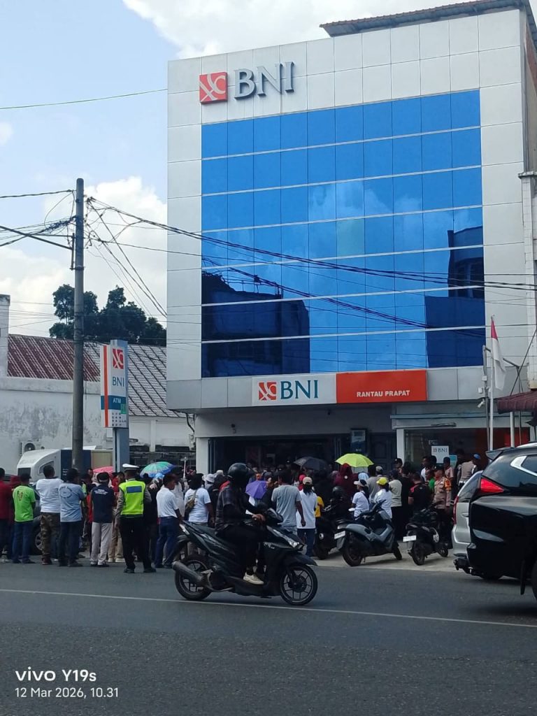 WhatsApp Image 2026-03-12 at 15.53.04