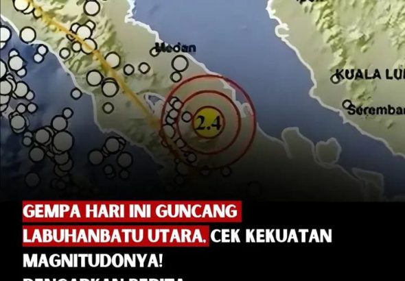 WhatsApp Image 2026-03-25 at 15.04.24